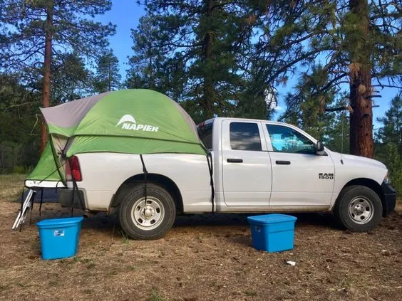 Family-Friendly Designs Tent Features Ideal for Large Group Camping